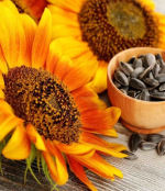 Herbs Seeds